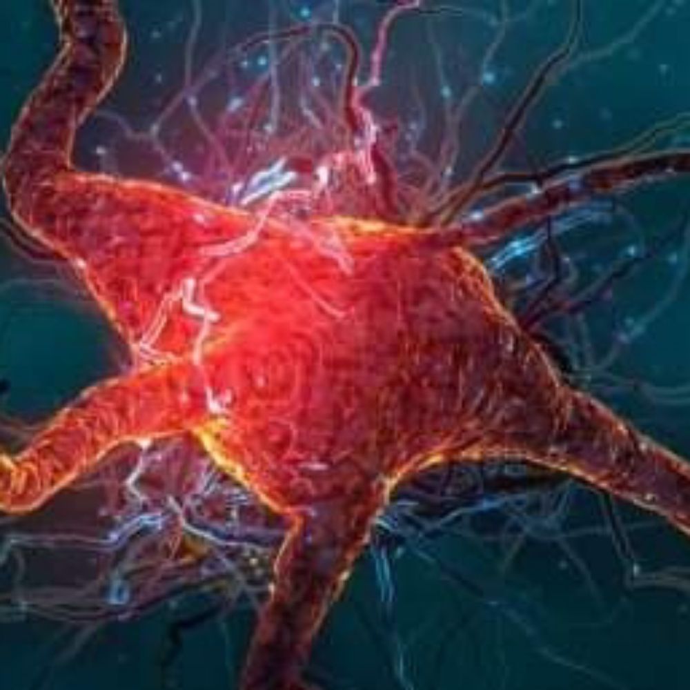 Activa Tu Neurona