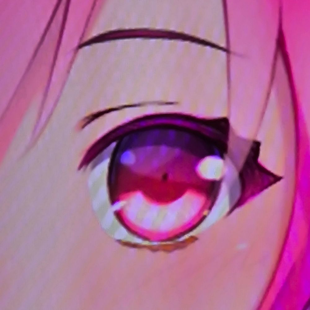 新しいxan8(1)