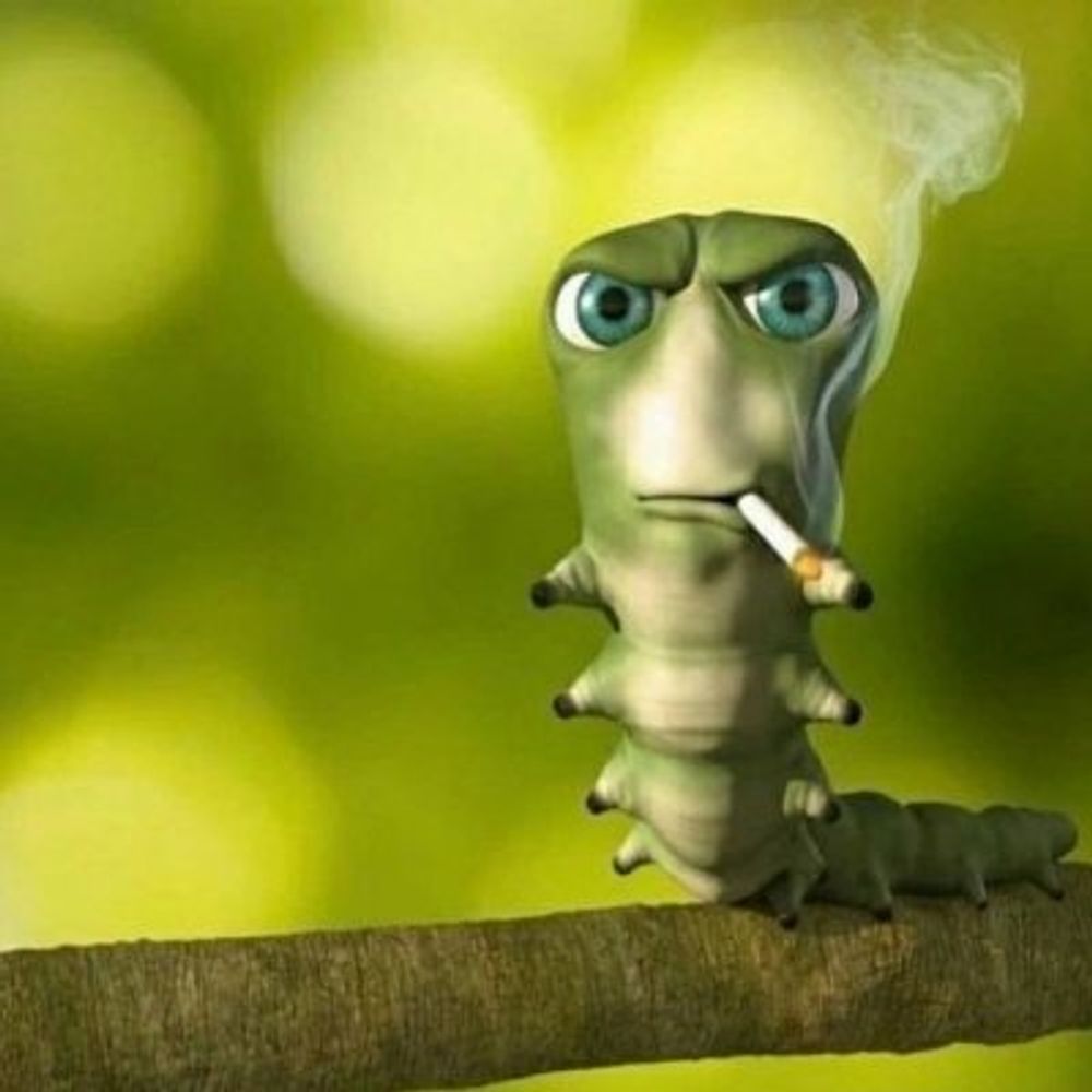 Primalugly