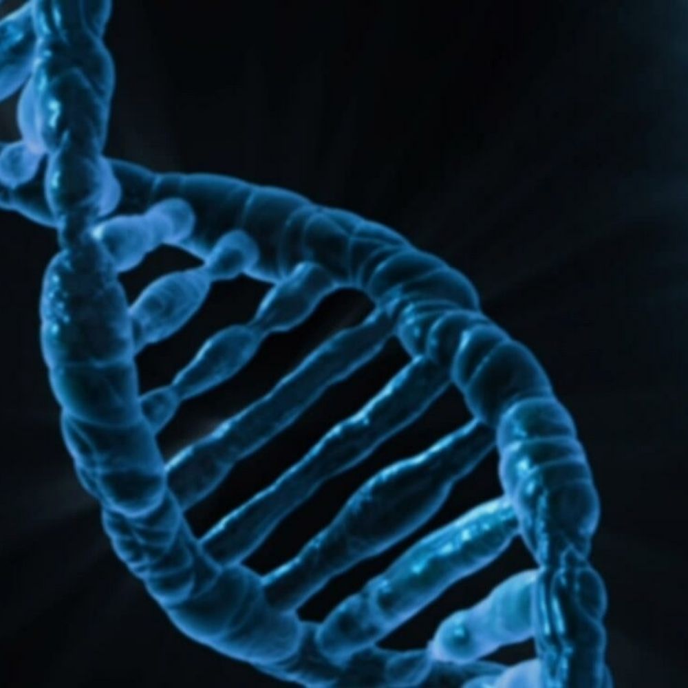 Coleman Research Group (KCL)