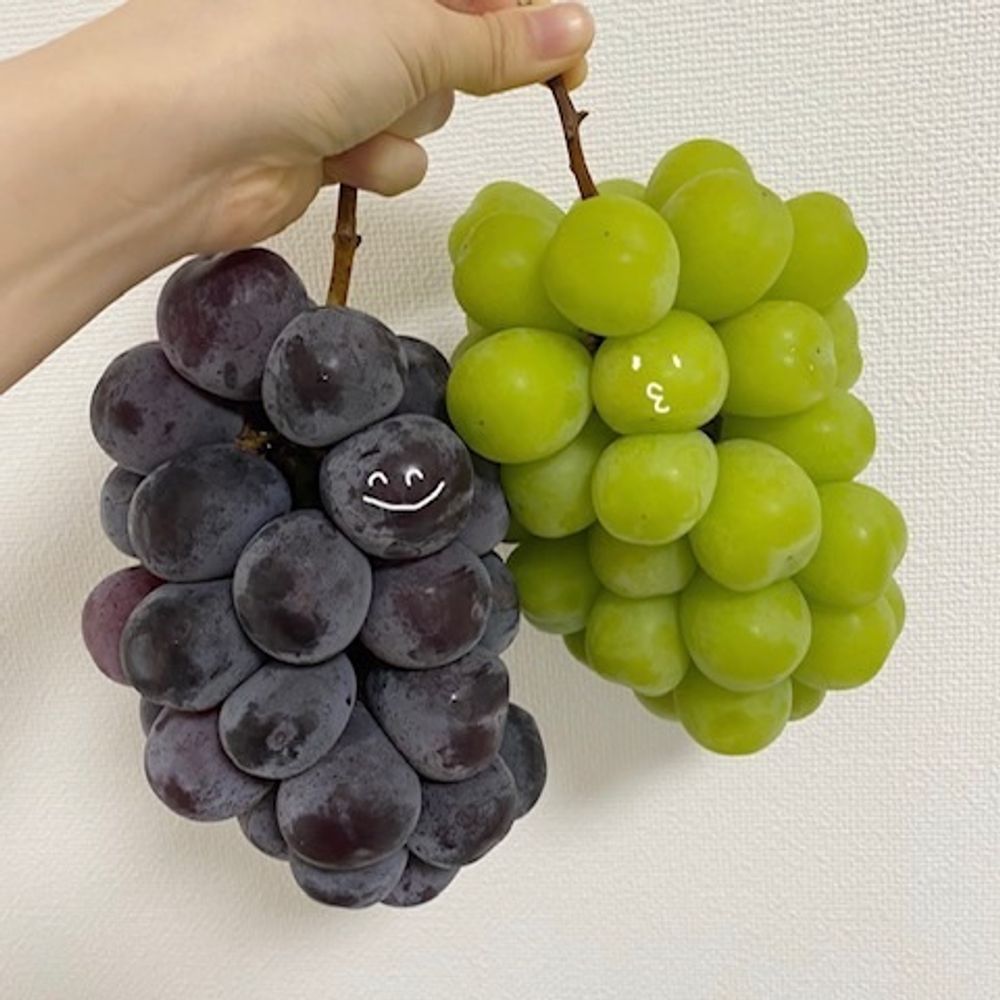 ぶどう🍇