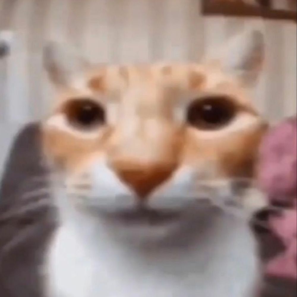 Lukz