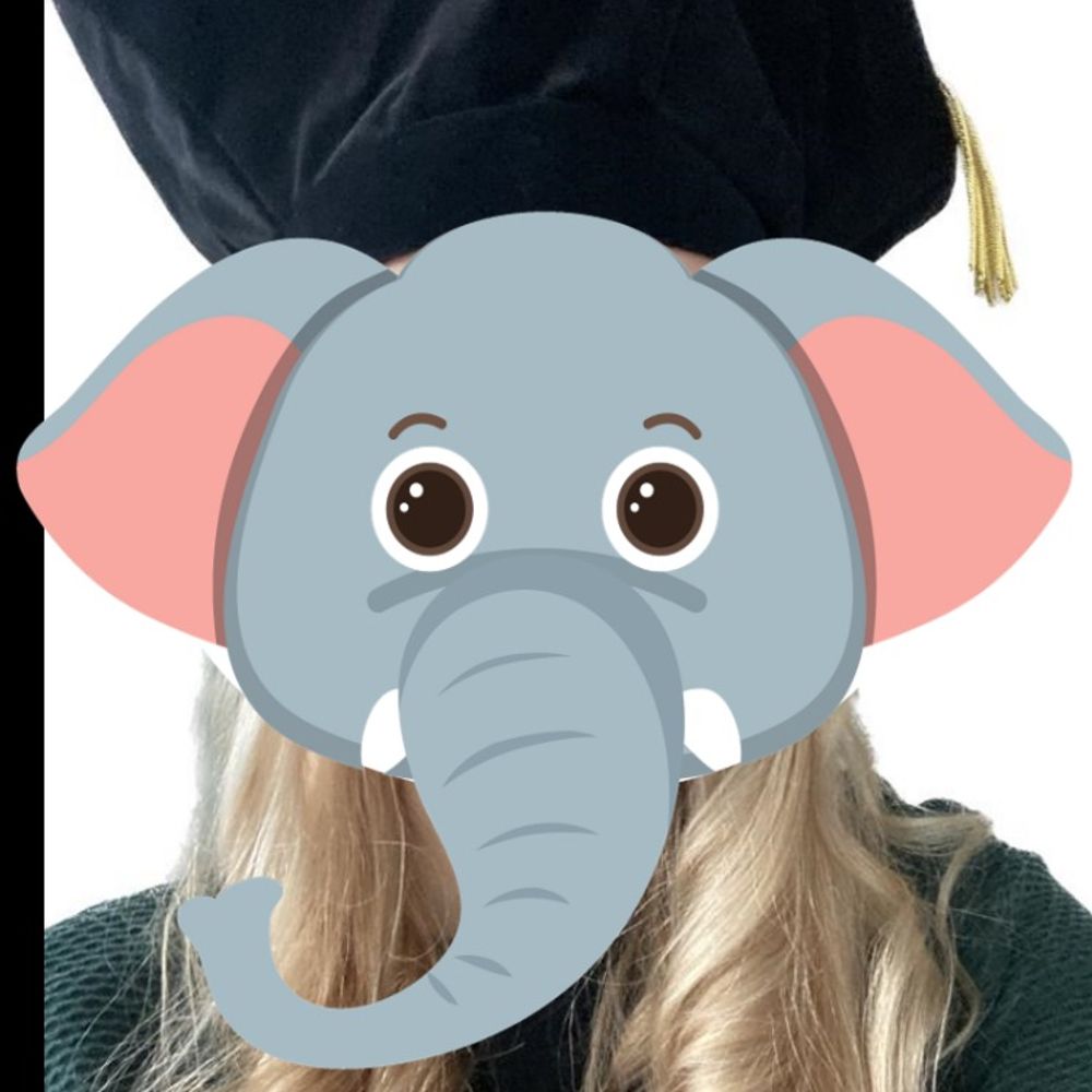 klausurrelefant