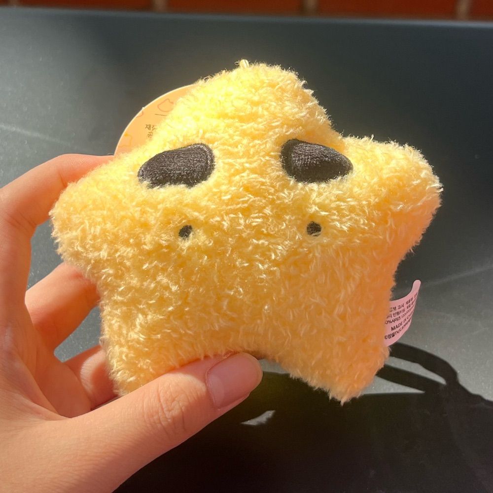 평범한사람