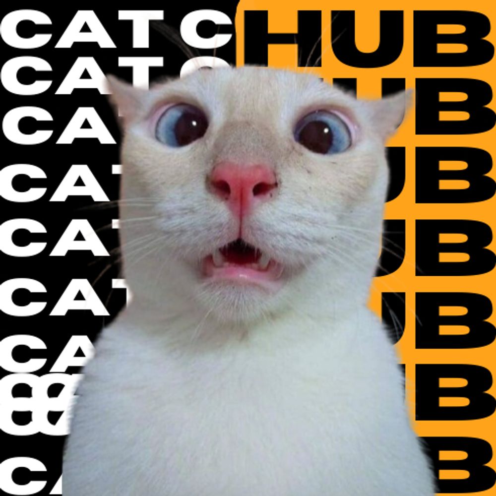 Profile picture catcomedyhub.bsky.social