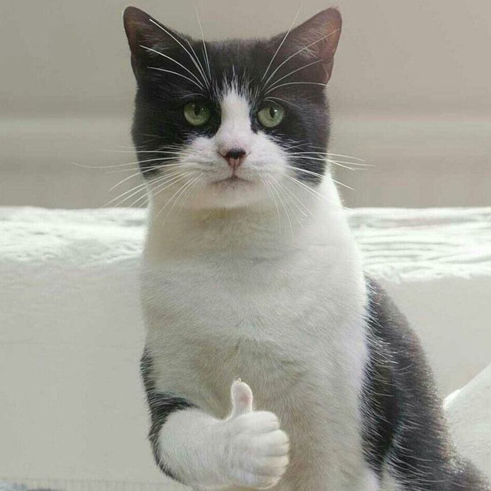 saaa