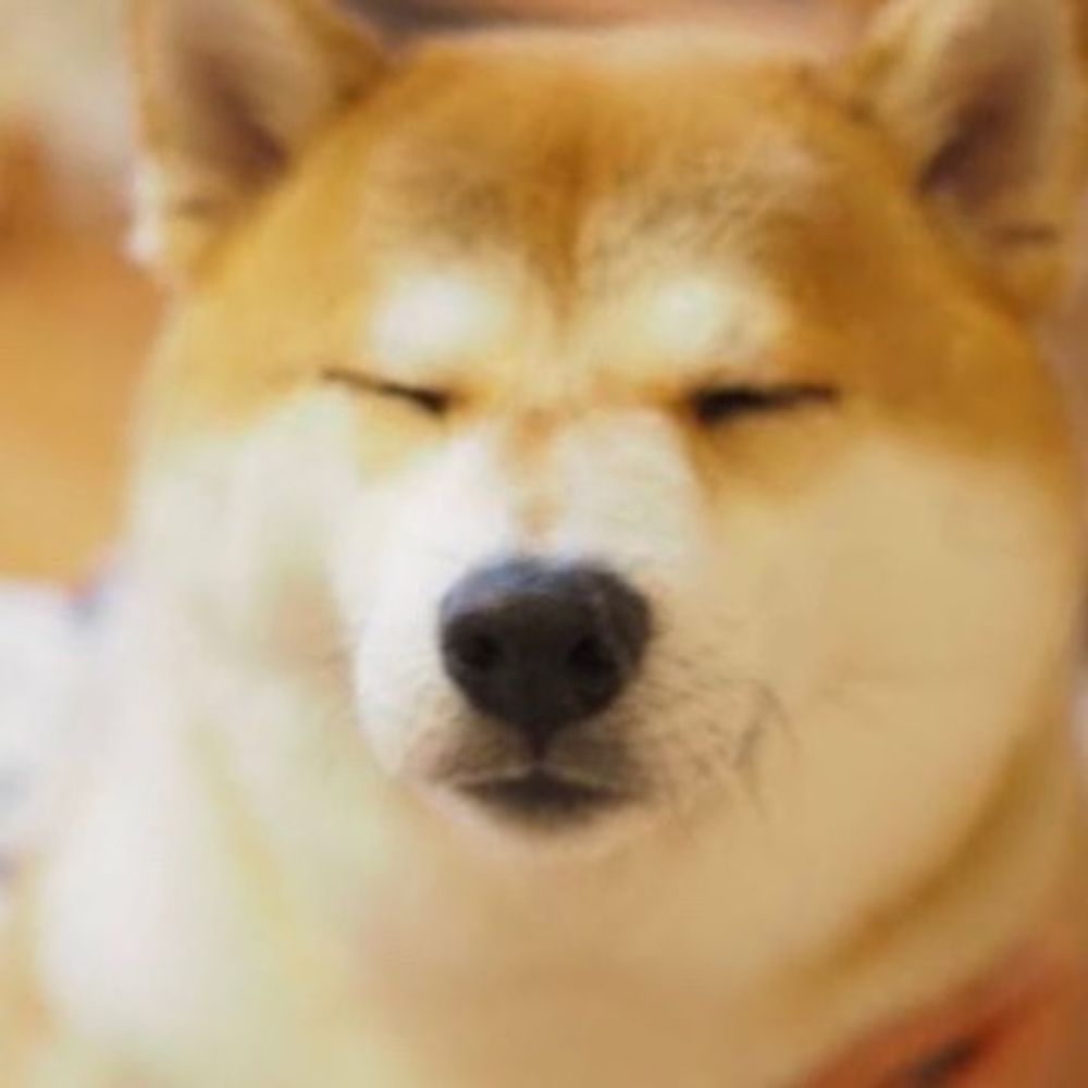 きぬー