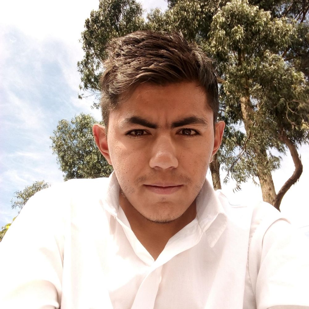 MOISÉS DAVID
