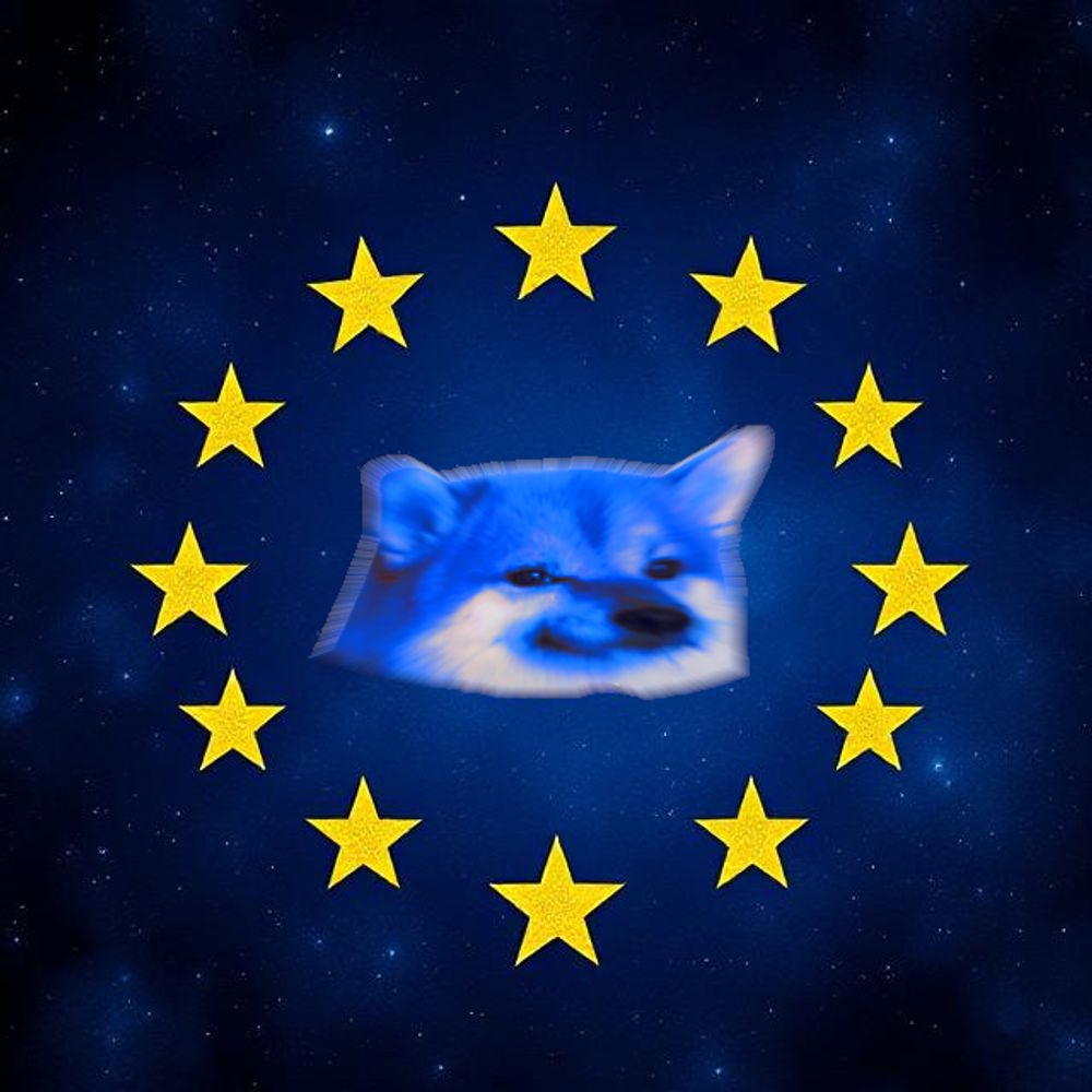 XII St⭐r Fella 🇪🇺