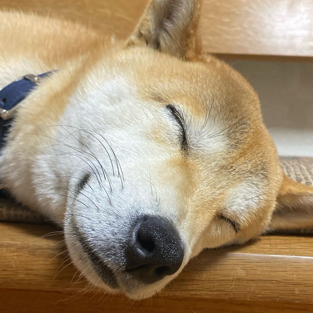 こた