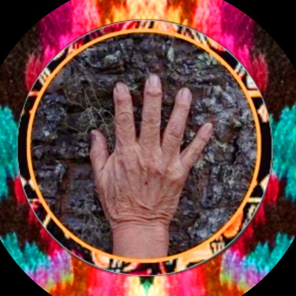 Future Elders Collective