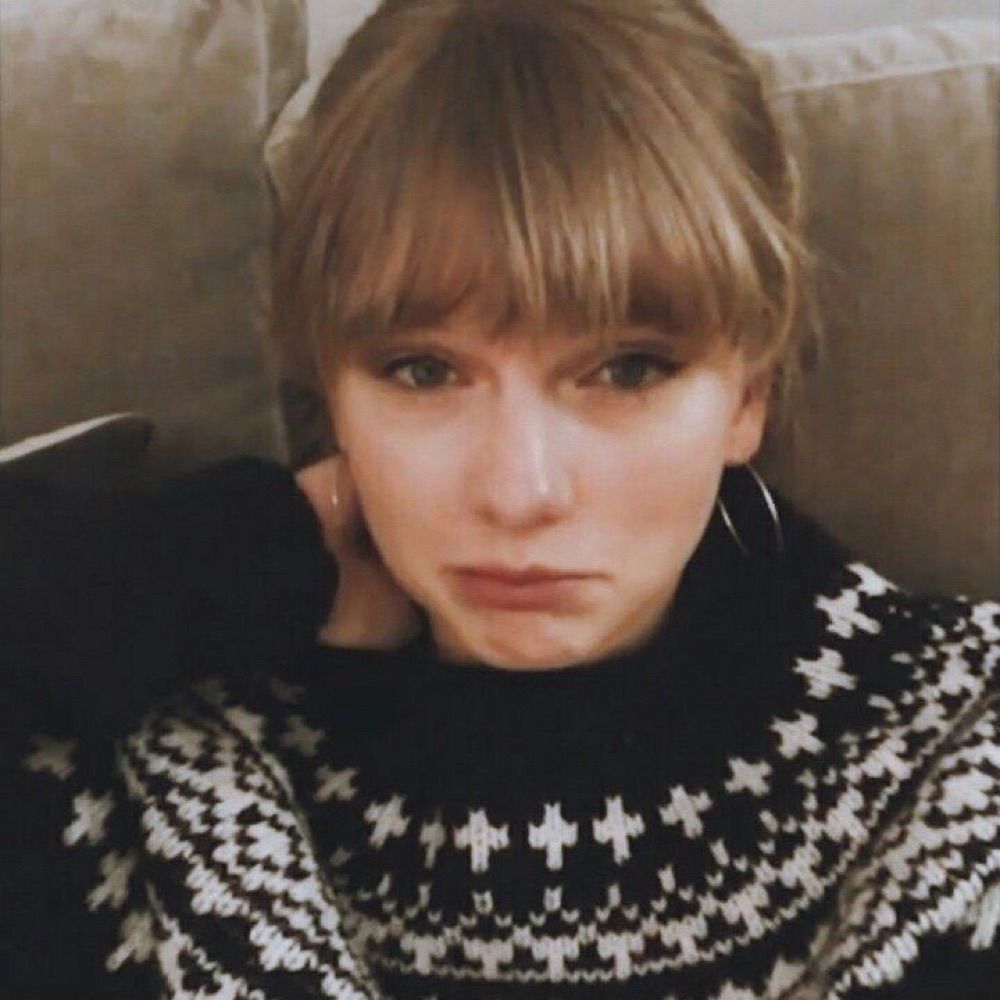 ꕤ 𝑺𝒕𝒆𝒇࿐♡