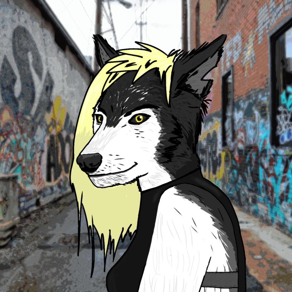 wolf gf's avatar