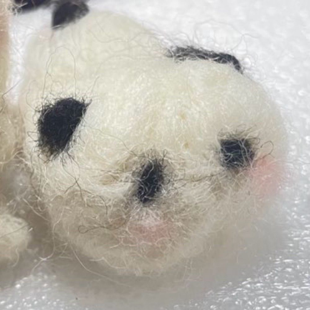 ゆっこ