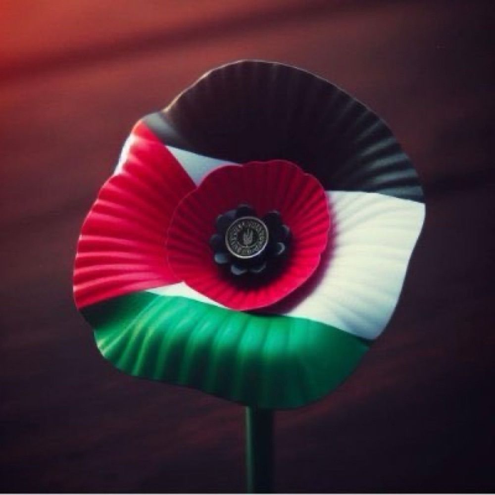 Profile picture freepalestine001.bsky.social