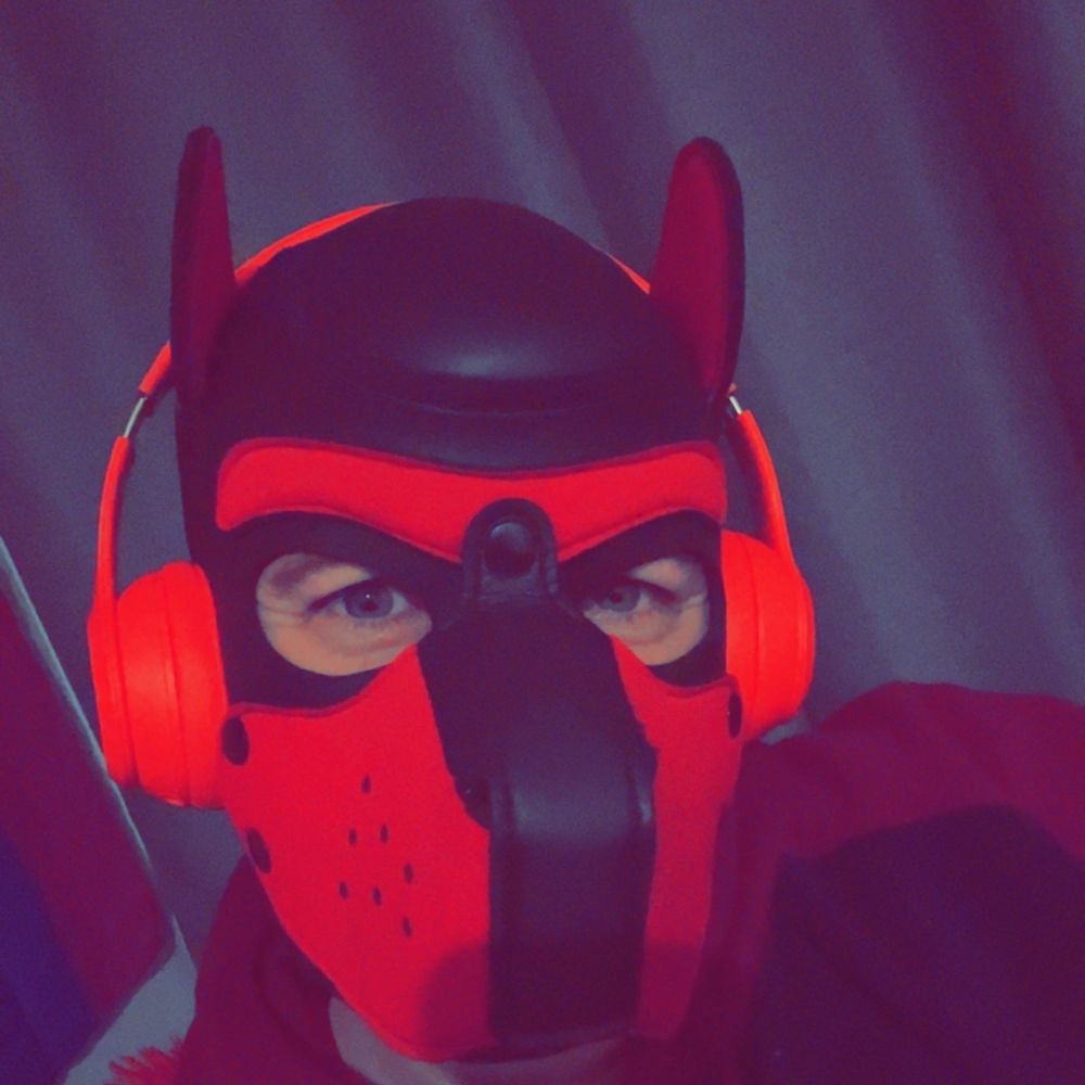 Pupgizmo/pup Apollo 