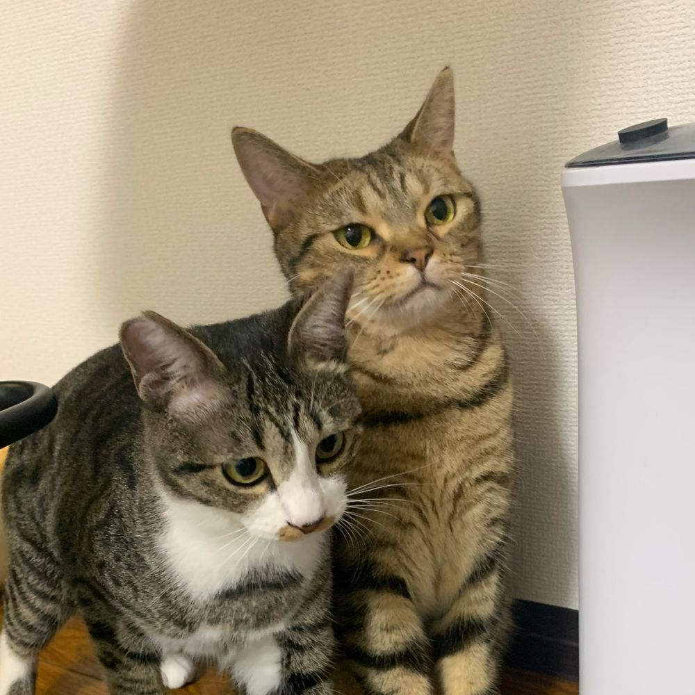 うき