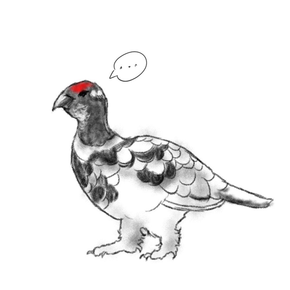 松しん
