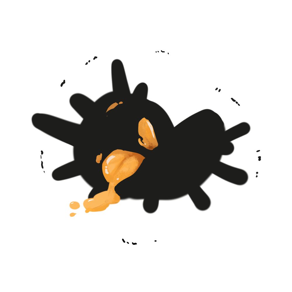 わがや