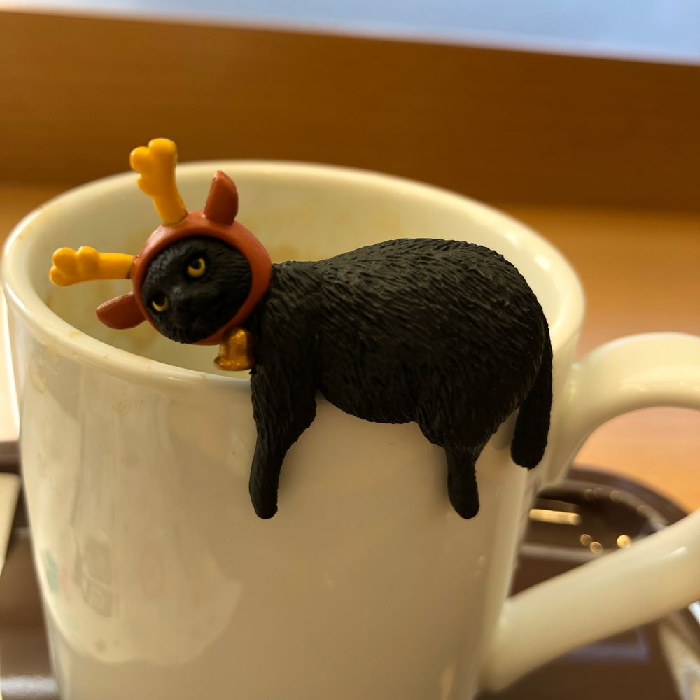 ゆみこ
