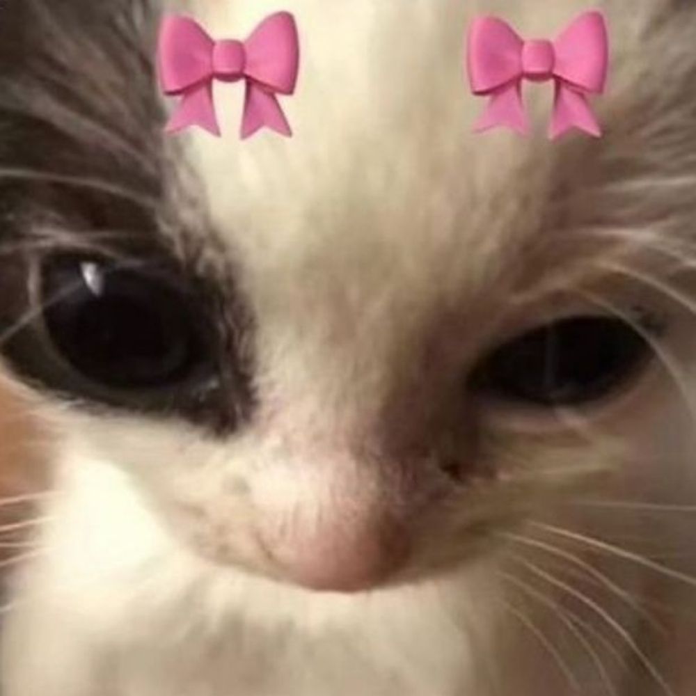 🎀 — 𝓵𝓸𝓻𝓮𝓷𝔃𝓸 