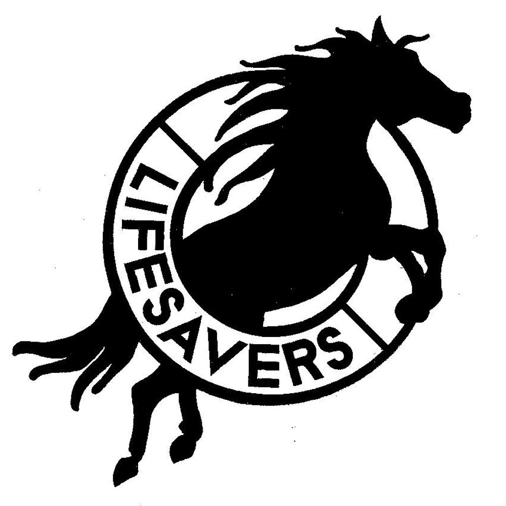 Lifesavers Wild Horse Rescue