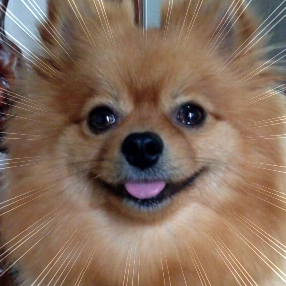 ニシ