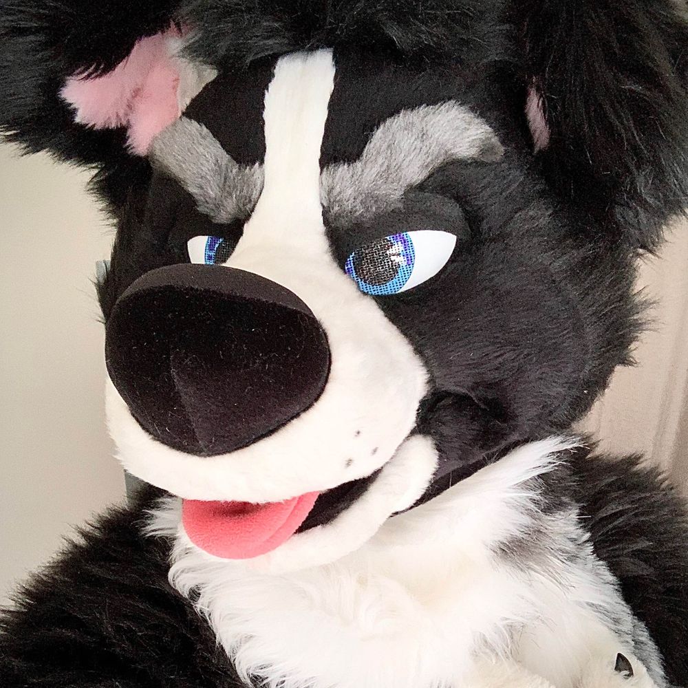 Big Boof