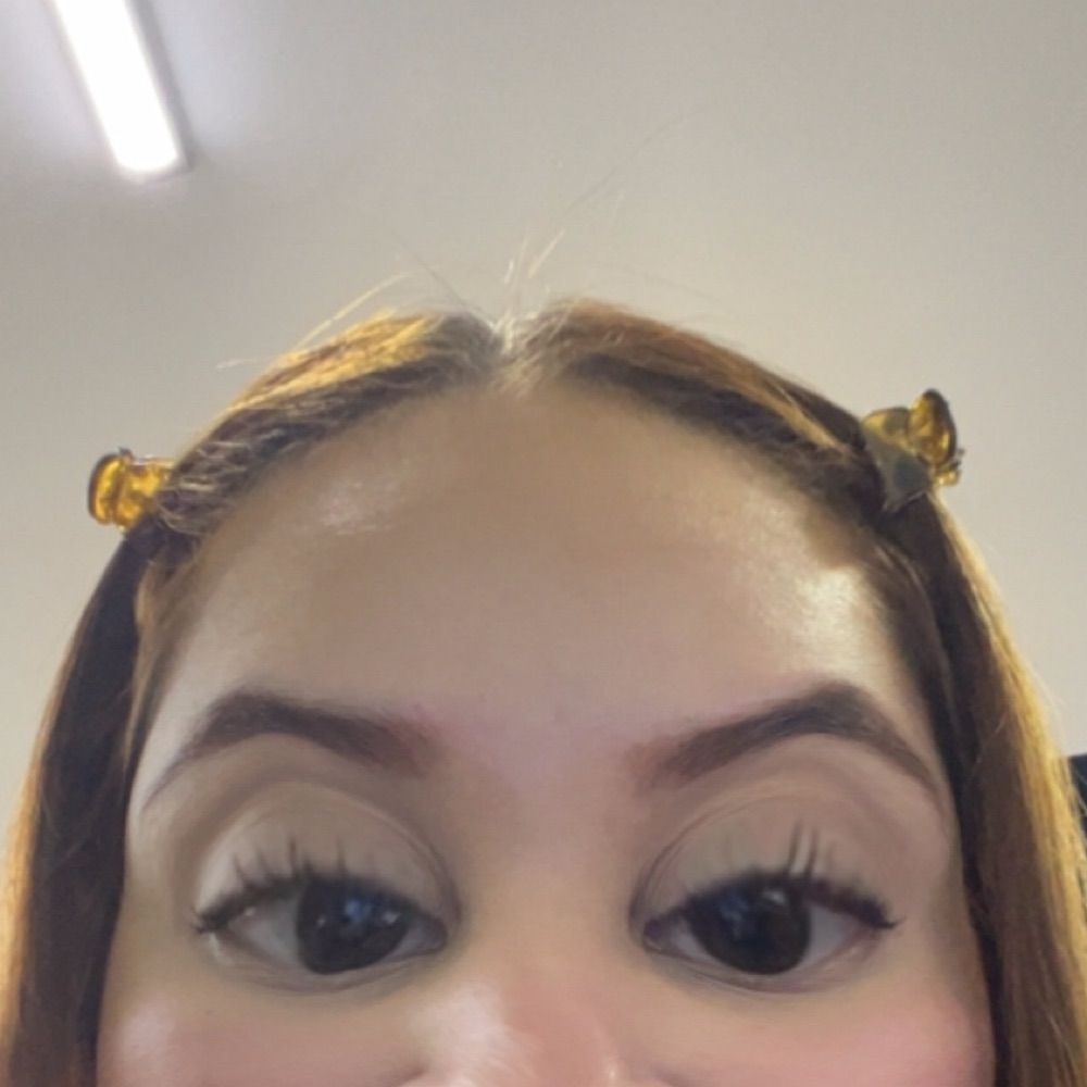 web diva camy