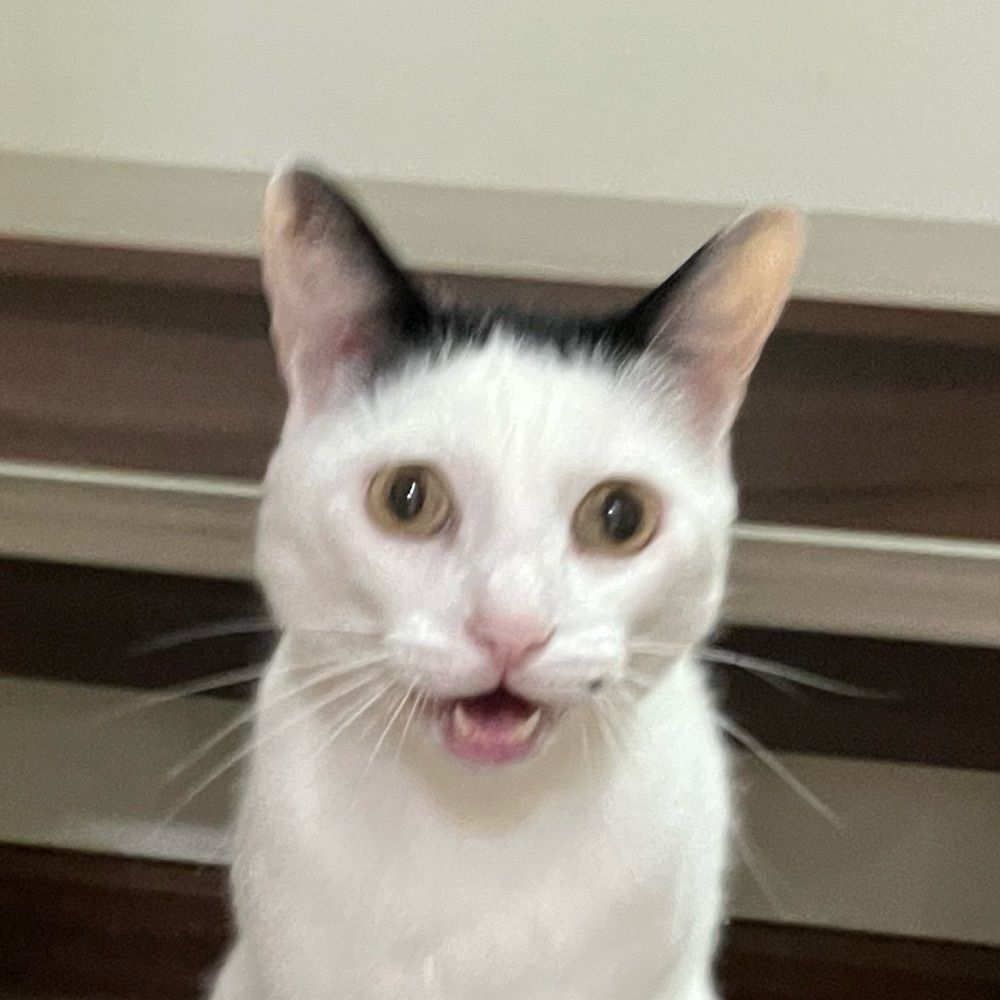 humana do eros