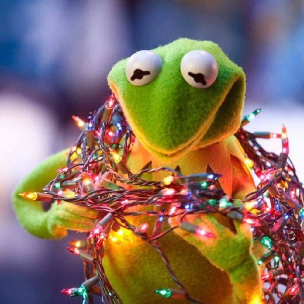 Kermie