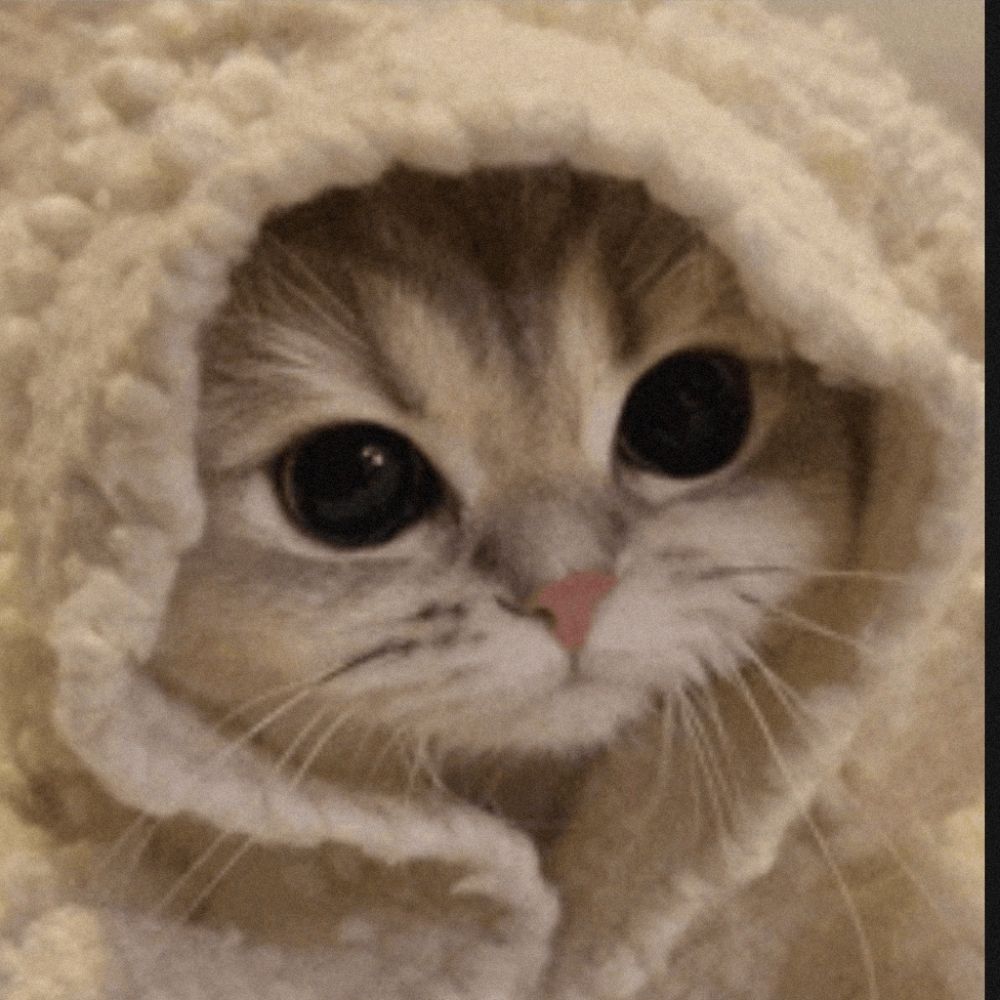 cute world