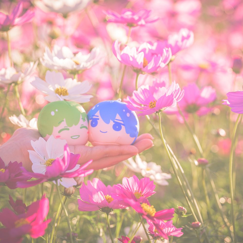 のとら
