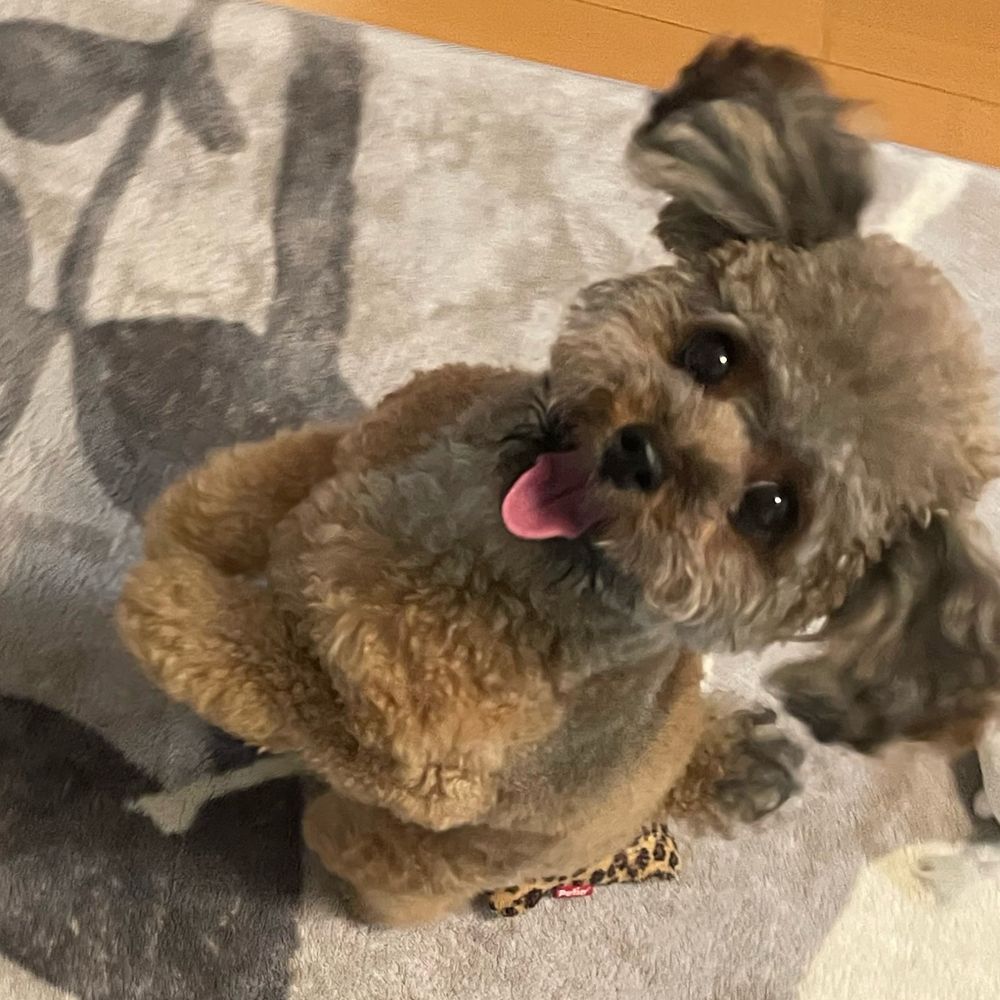 みづき
