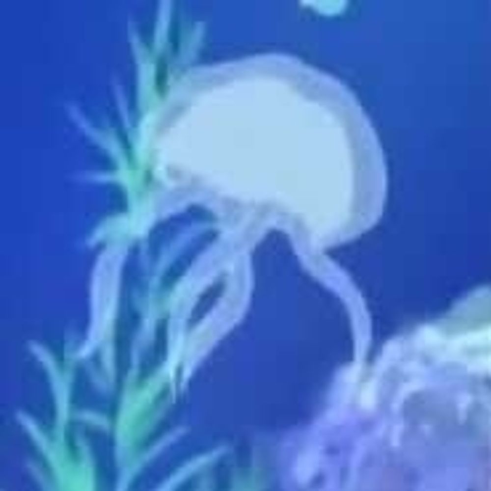 りーふぃあれもん