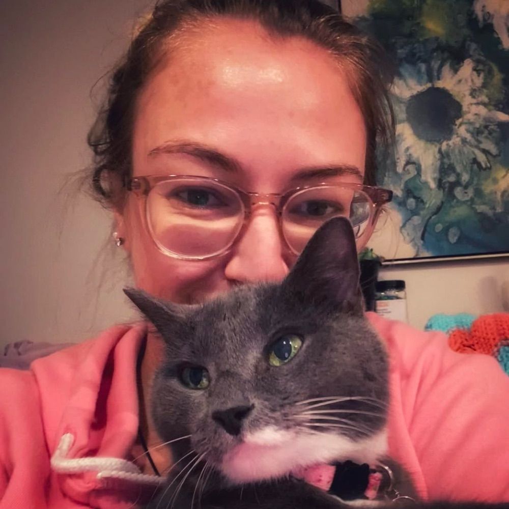 Dani