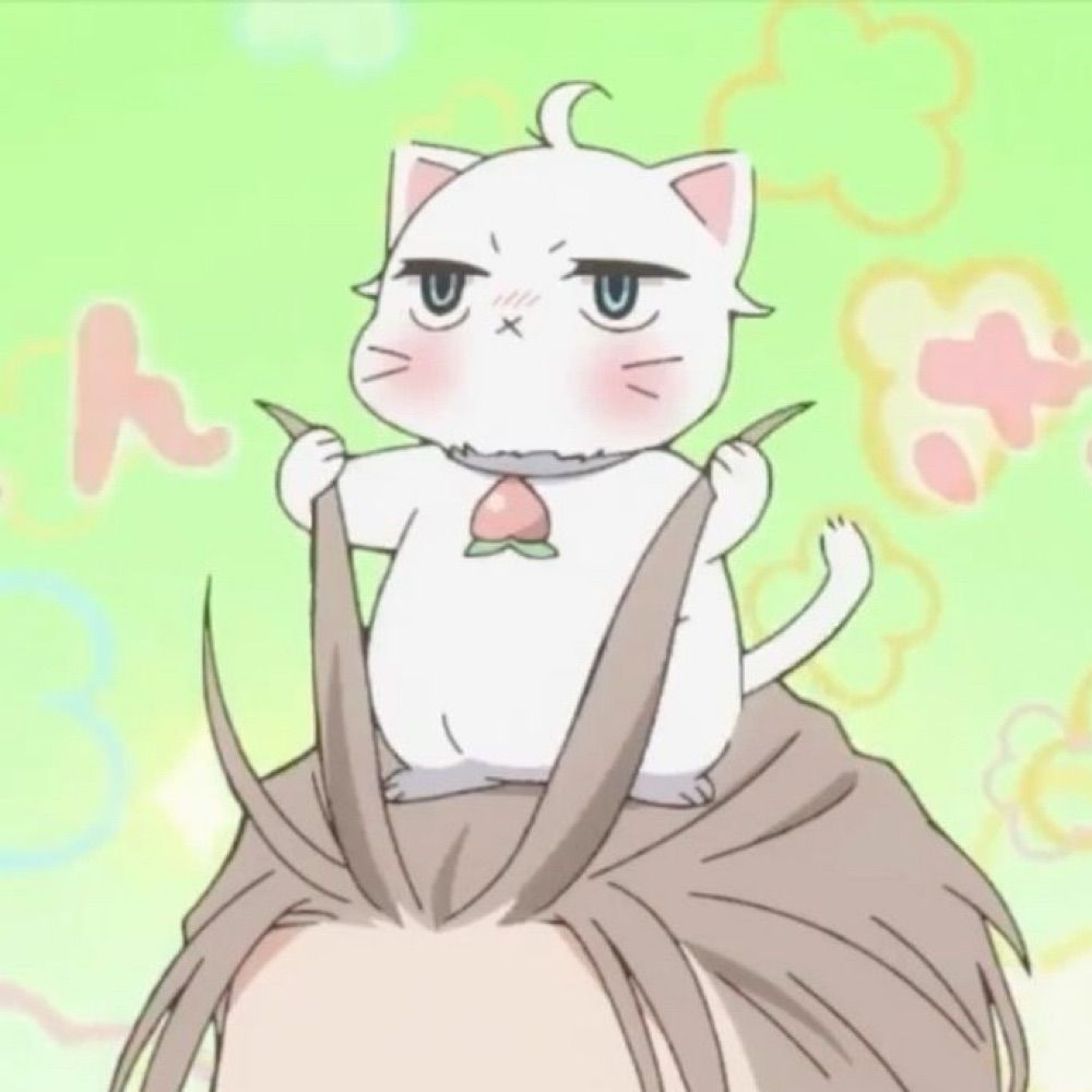 Corasan Shinomi