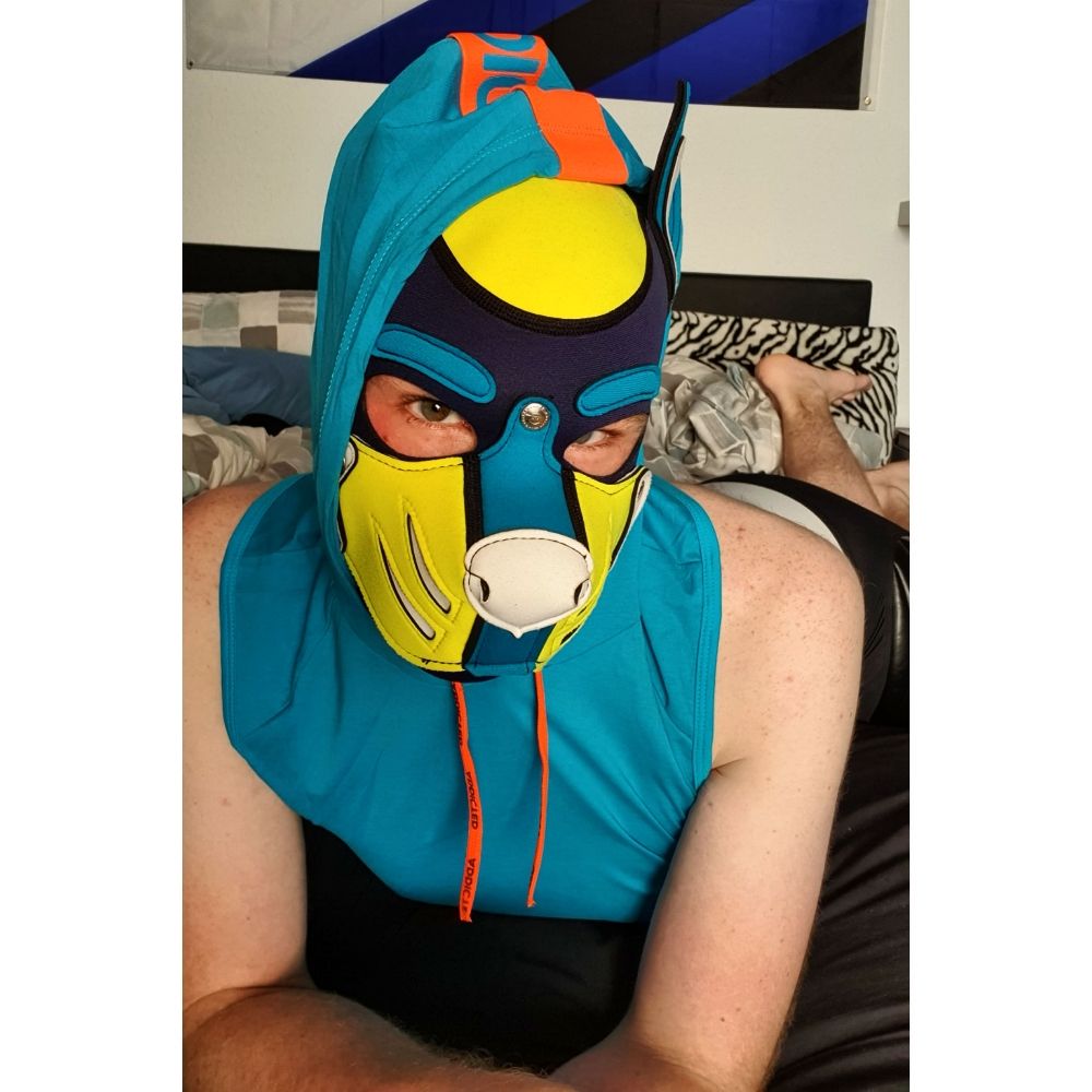 Pup_Ginger