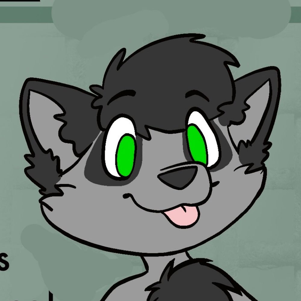 Ace The Raccoon