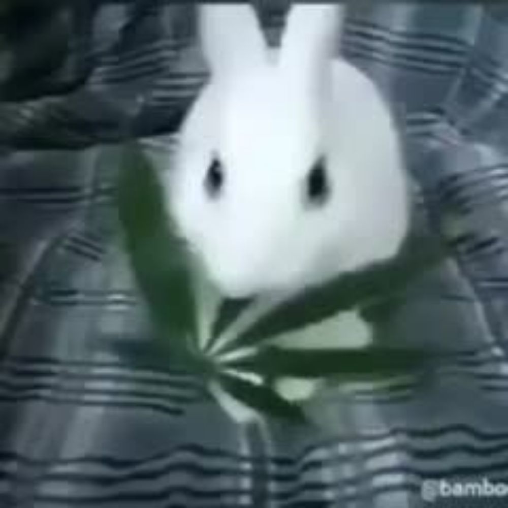 oskvbun