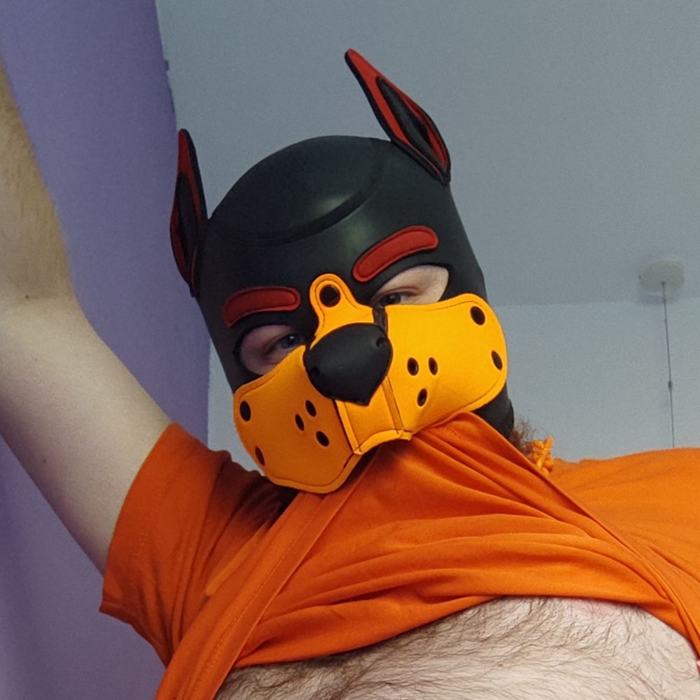 Urso the Bear-Dog (Lynden)