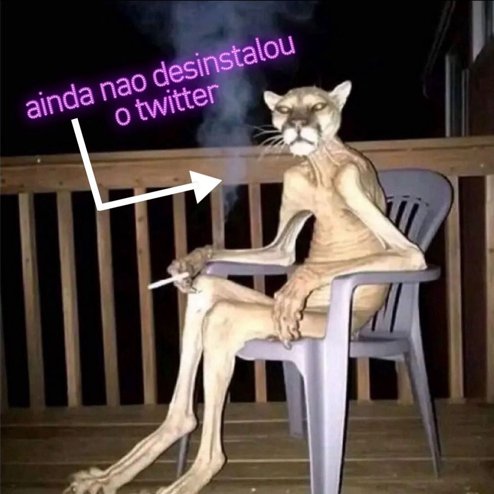najulia 