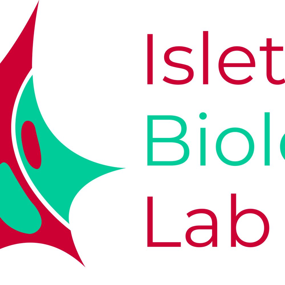 Islet Biology Lab - UMH