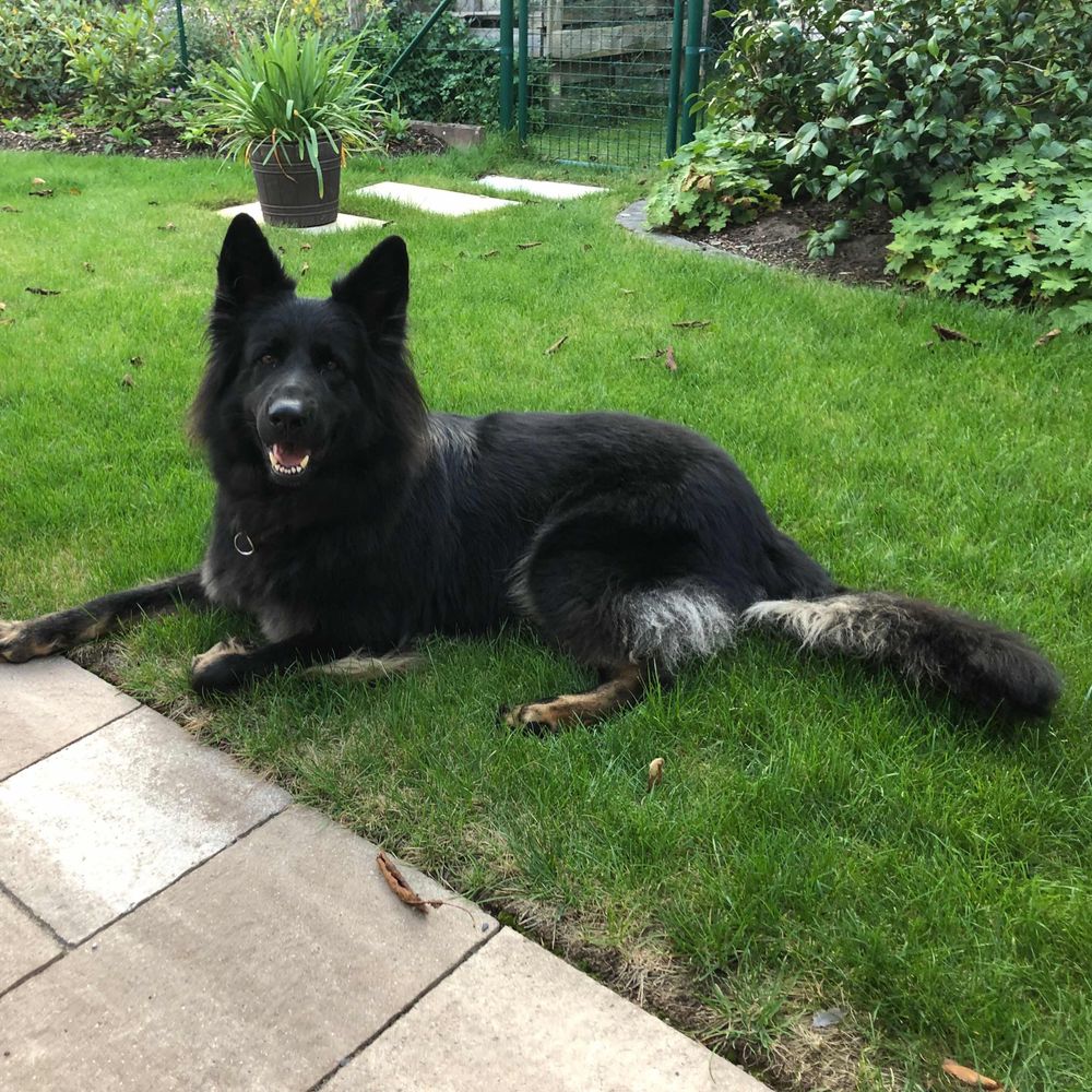 Shina19 und Frauchen 