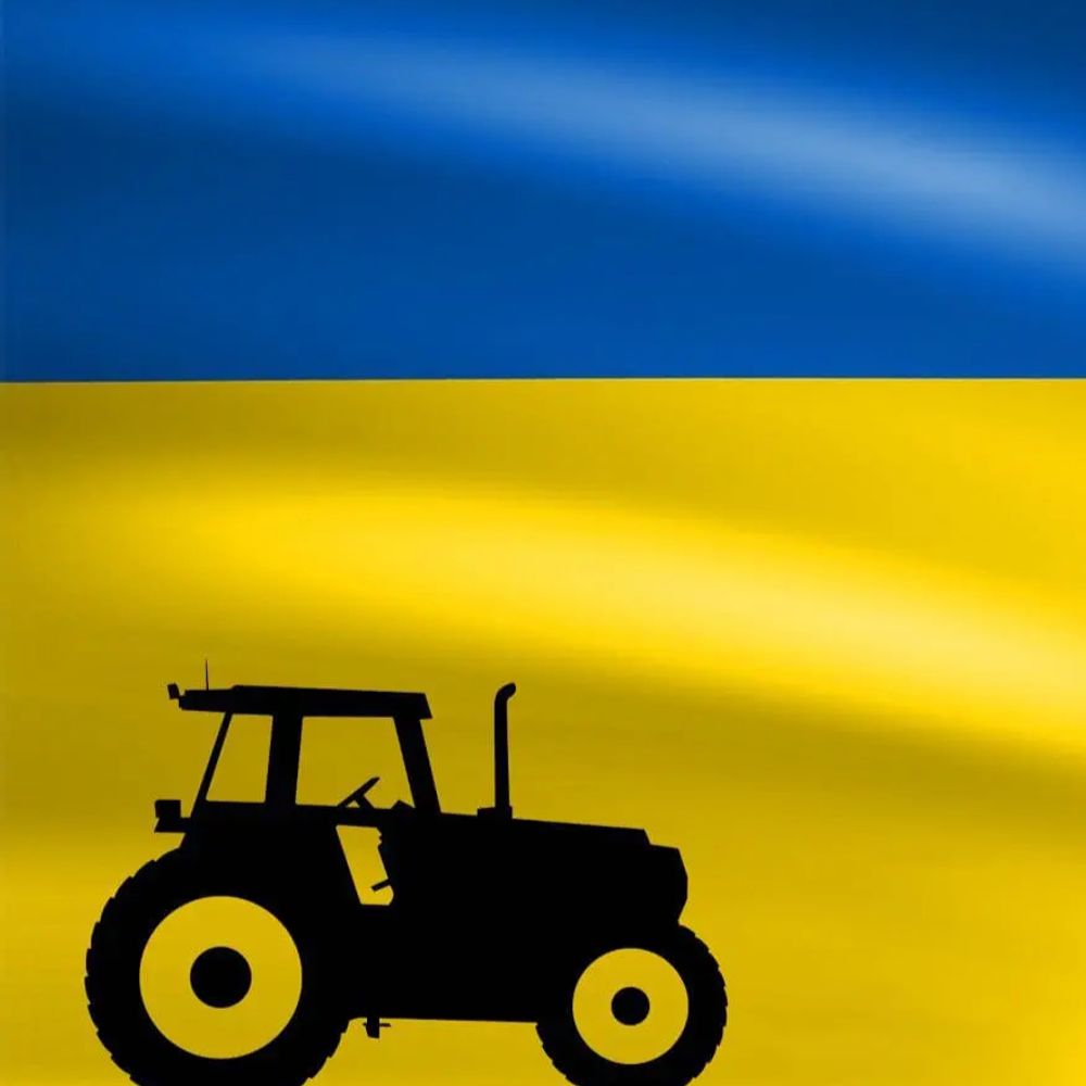 danielbcohen.bsky.social profile picture