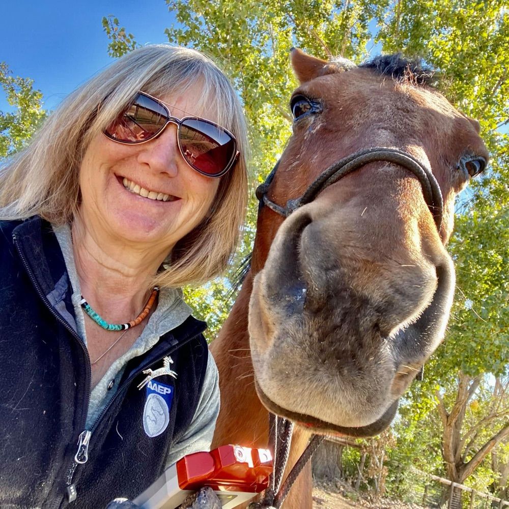 Janet Gordon Palm, DVM