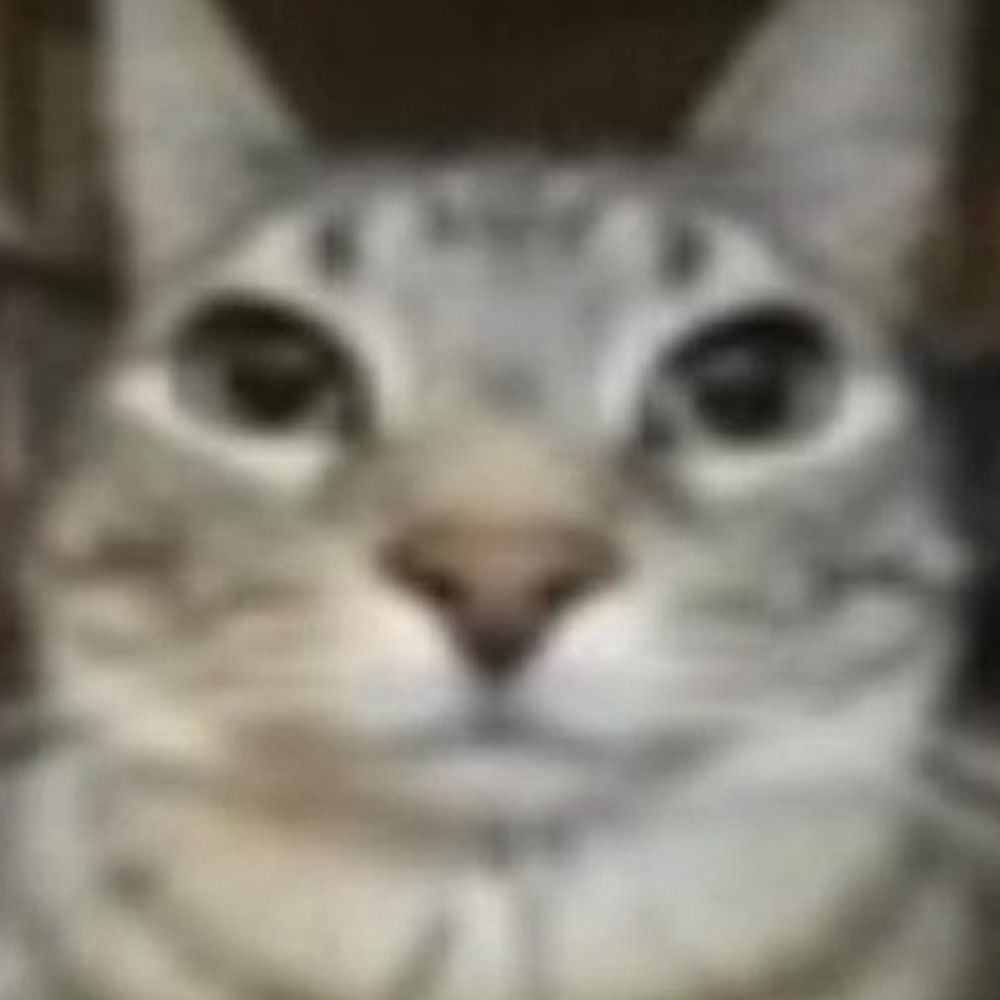 Est.-.