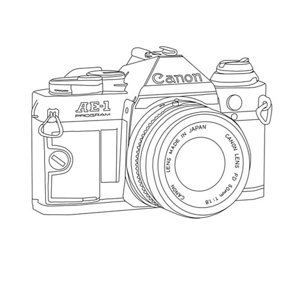 Wild bout photography