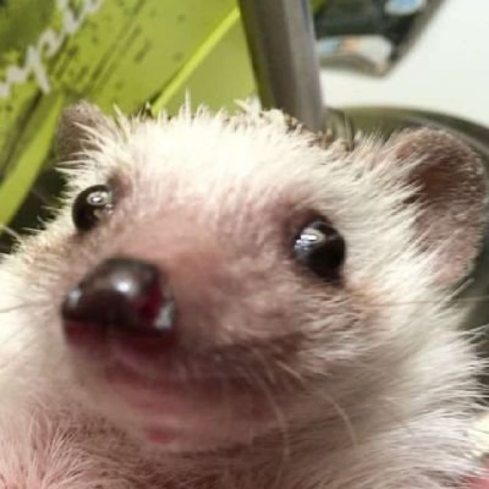 ¡Mm! 