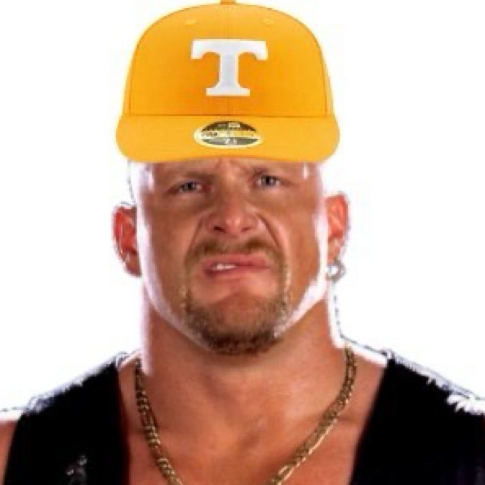 Stone Cold Steve Volstin